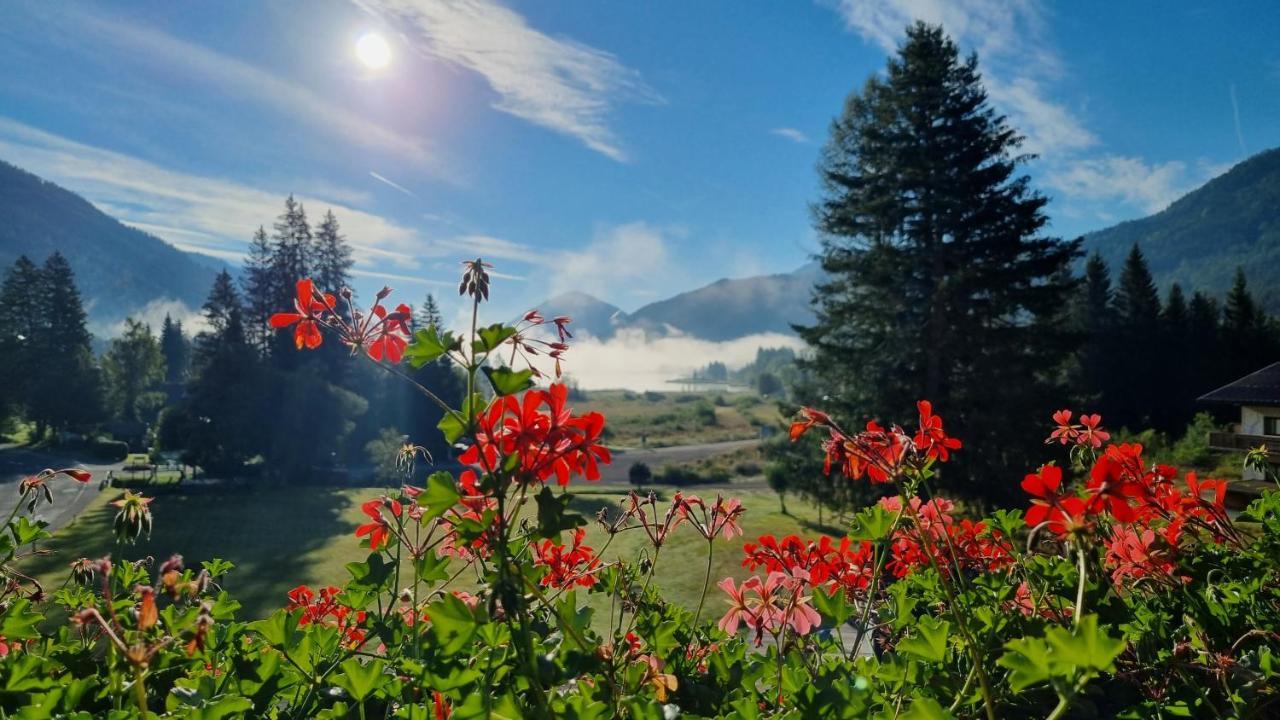 Kraners Alpenhof Bio Bed And Breakfast Pension Weissensee Exteriör bild