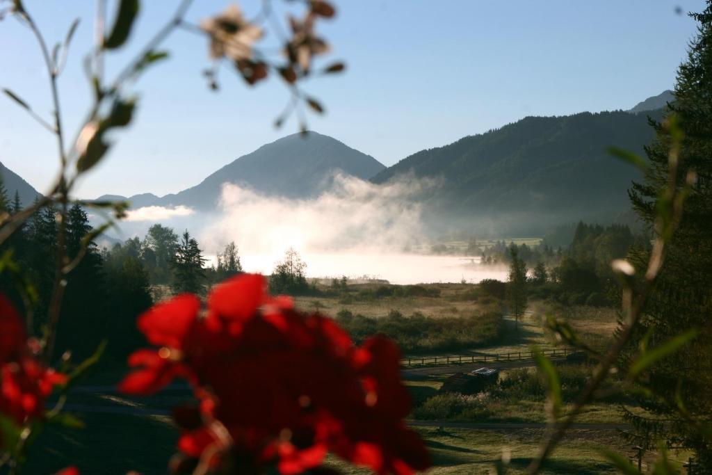 Kraners Alpenhof Bio Bed And Breakfast Pension Weissensee Exteriör bild
